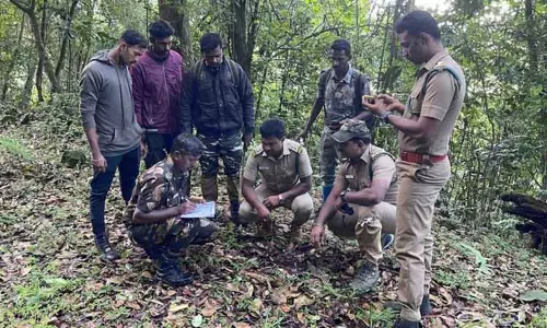 வனவிலங்குகள் கணக்கெடுப்பு நிறைவு