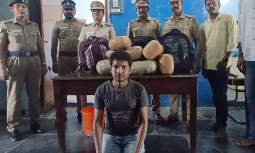 கஞ்சா கடத்தி வந்த ஒடிசா வாலிபர் கைது கஞ்சா கடத்தி வந்த ஒடிசா வாலிபர் கைது