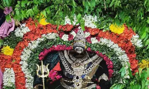 வேப்பிலை அலங்காரத்தில் மாரியம்மன் வேப்பிலை அலங்காரத்தில் மாரியம்மன்