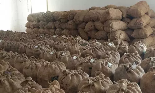 முறைகேட்டை தடுக்க கொப்பரை மூட்டைகளில் கியூ ஆர் கோடு