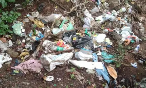 பிளாஸ்டிக் கழிவுகளால் வனவிலங்குகள் பாதிப்பு