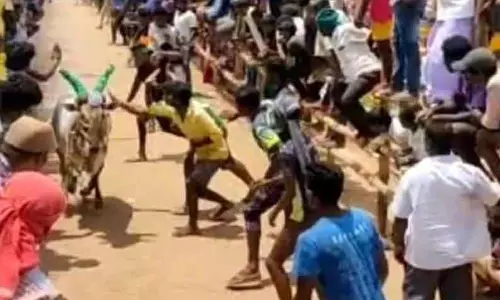 எருது விடும் விழாவில் மாடு முட்டி 16 பேர் காயம்