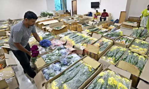 சென்னையில் மலர் கண்காட்சிக்கு வந்து குவிந்த வண்ணப்பூக்கள்