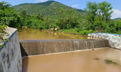 வத்தல்மலை அடிவாரத்தில் தடுப்பணை நிரம்பியது வத்தல்மலை அடிவாரத்தில் தடுப்பணை நிரம்பியது