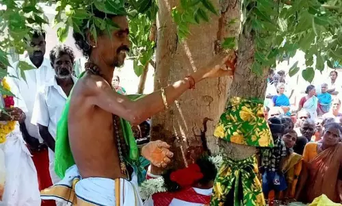 மழை வேண்டி அரச மரத்துக்கும், வேப்ப மரத்துக்கும் திருமணம் நடத்திய கிராம மக்கள் மழை வேண்டி அரச மரத்துக்கும், வேப்ப மரத்துக்கும் திருமணம் நடத்திய கிராம மக்கள்