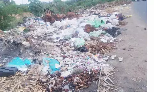 குவிந்து கிடக்கும் குப்பைகளால் சுகாதார கேடு குவிந்து கிடக்கும் குப்பைகளால் சுகாதார கேடு