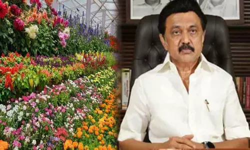 சென்னையில் நாளை மலர் கண்காட்சி - முதல்-அமைச்சர் தொடங்கி வைக்கிறார்