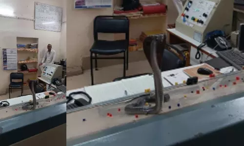 அலுவலக மேஜையில் நாக பாம்பு... என்ன மனு கொடுக்க வந்ததோ? அதிர்ச்சியில் அதிகாரி