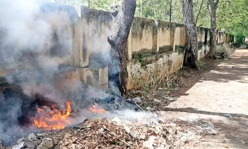 மரத்தின் அருகே குப்பைகளை கொட்டி தீ வைத்து எரிக்கப்படுகிறது.