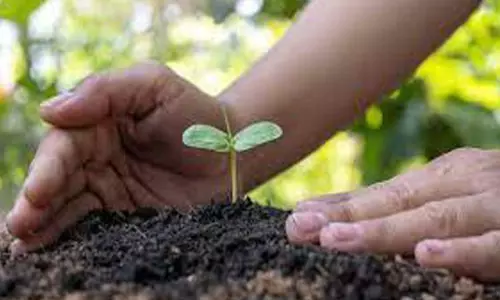 வெள்ளலூர் குப்பைக்கிடங்கில் 17 ஆயிரம் மரக்கன்றுகள் நட முடிவு