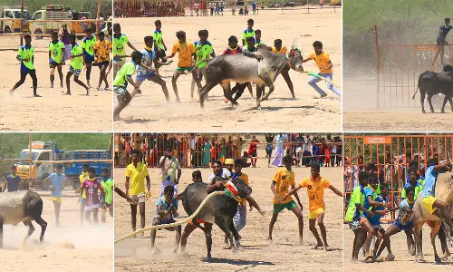 சீறிய காளைகளை அடக்கிய மாடுபிடி வீரர்கள்