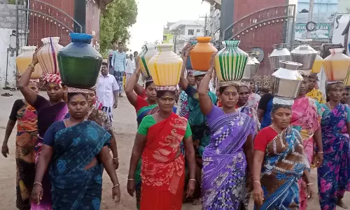 சந்தனக்கூடு திருவிழா தொடக்கம்