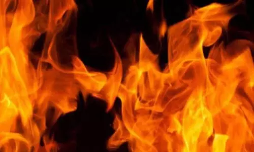 வைக்கோல் படப்புக்கு தீ வைப்பு