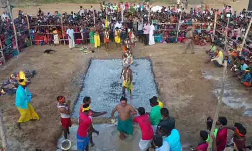 திரவுபதி அம்மன் கோவிலில் தீமிதி திருவிழா திரவுபதி அம்மன் கோவிலில் தீமிதி திருவிழா