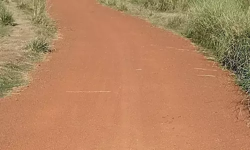 தார்ச்சாலை வேண்டும்