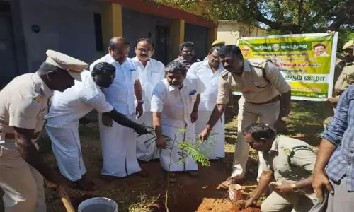 அரசு பள்ளியில் மரக்கன்று நடும் விழா