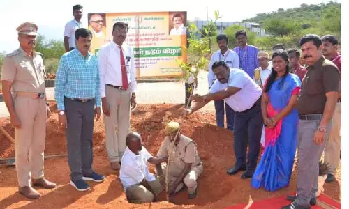 நாடார் சரசுவதி பொறியியல் கல்லூரியில்  கருணாநிதி பிறந்தநாளையொட்டி மரக்கன்று நடும் விழா