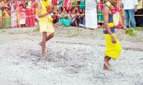 திரவுபதி அம்மன் கோவில் தீமிதி திருவிழா திரவுபதி அம்மன் கோவில் தீமிதி திருவிழா