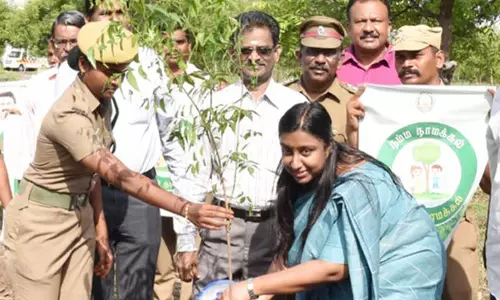 கருணாநிதி பிறந்தநாள் விழா: நாமக்கல்லில் கலெக்டர் ஸ்ரேயா சிங் மரக்கன்றுகள் நட்டார் கருணாநிதி பிறந்தநாள் விழா: நாமக்கல்லில் கலெக்டர் ஸ்ரேயா சிங் மரக்கன்றுகள் நட்டார்