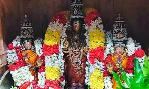 லட்சுமி நரசிம்மர் கோவிலில் வைகாசி மாத வசந்த உற்சவம்