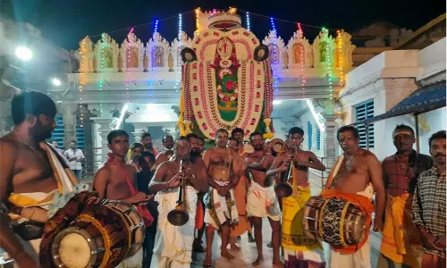 கன்னியாகுமரி பகவதி அம்மன் கோவில் வைகாசி விசாக திருவிழா; கிளி வாகனத்தில் அம்மன் எழுந்தருளி வீதி உலா