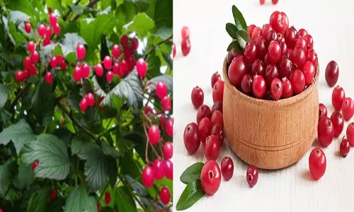 கிரான்பெர்ரியை தவிர்க்காதீர்கள் கிரான்பெர்ரியை தவிர்க்காதீர்கள்