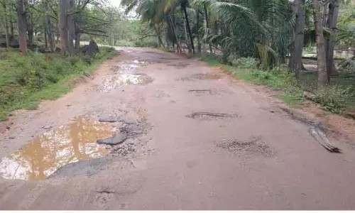 வனத்துறை தடையால் சாலை பணி பாதியில் நிறுத்தம் வனத்துறை தடையால் சாலை பணி பாதியில் நிறுத்தம்