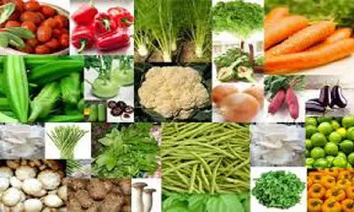 3,309 டன் விளைபொருட்கள் ரூ.6 கோடிக்கு பரிவர்த்தனை 3,309 டன் விளைபொருட்கள் ரூ.6 கோடிக்கு பரிவர்த்தனை