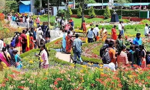 கொடைக்கானலில் கொட்டித்தீர்த்த மழை கொடைக்கானலில் கொட்டித்தீர்த்த மழை