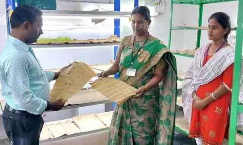 விவசாயிகளுக்கு தரமான விதைகள் கிடைக்க நடவடிக்கை- விதை பரிசோதனை அலுவலர்