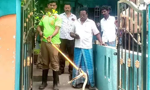 வீட்டுக்குள் புகுந்த பாம்பு