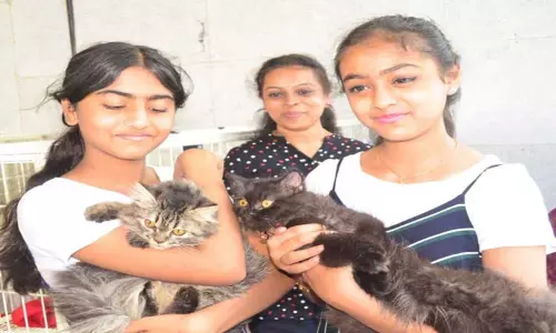 கோவையில் பூனை நாய்கள் கண்காட்சி கோவையில் பூனை நாய்கள் கண்காட்சி