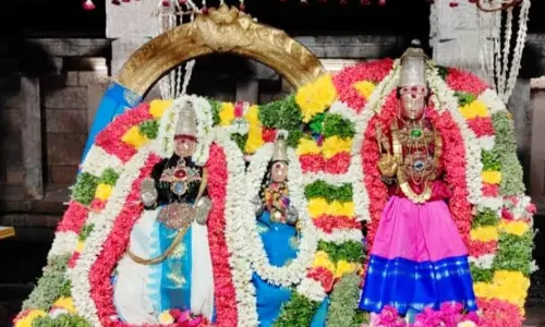 திருச்சி: ஜம்புகேஸ்வரர் அகிலாண்டேஸ்வரி கோவில் வசந்த உற்சவம் திருச்சி: ஜம்புகேஸ்வரர் அகிலாண்டேஸ்வரி கோவில் வசந்த உற்சவம்