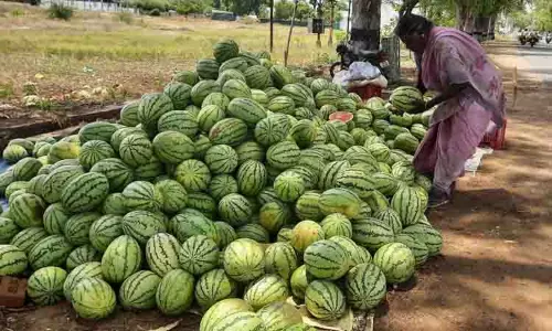 விற்பனைக்காக குவிந்த தர்பூசணி பழங்கள் விற்பனைக்காக குவிந்த தர்பூசணி பழங்கள்