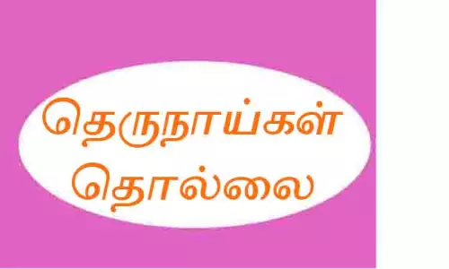 சில்லக்குடியில் தெரு நாய்கள் தொல்லை சில்லக்குடியில் தெரு நாய்கள் தொல்லை