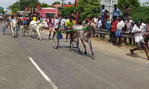 குளித்தலையில் குதிரை-மாட்டுவண்டி பந்தயம்