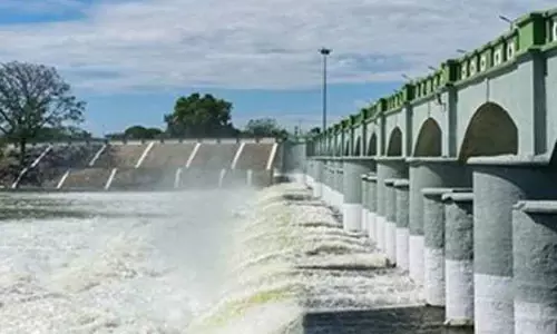 கல்லணை கால்வாயில் பாசனத்துக்கு தண்ணீர் திறப்பு