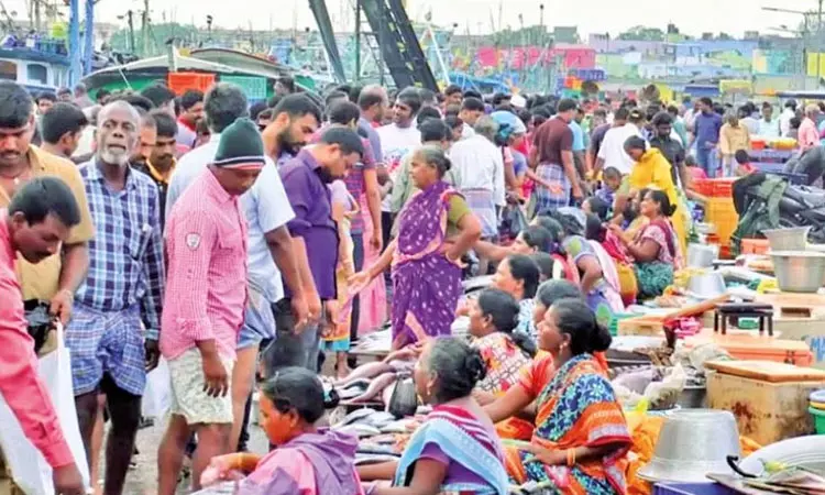 வெளிமாநில மீன்களை காசிமேடு மீன்பிடி துறைமுகத்தில் விற்க தடை