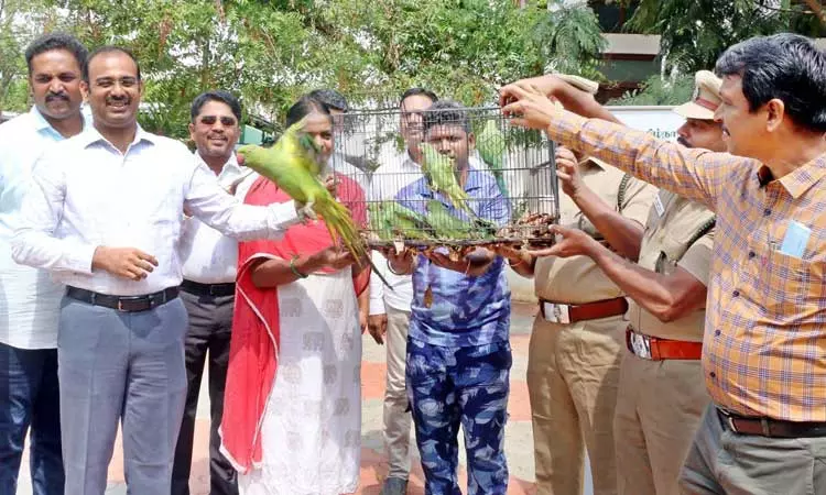 மீட்கப்பட்ட 37 கிளிகளை பறக்க விட்ட கலெக்டர்