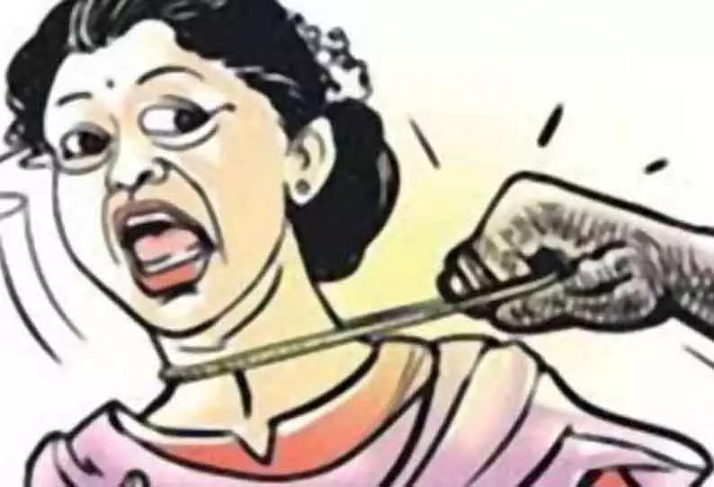 ஆடு மேய்த்த பெண்ணிடம் தங்க சங்கிலி பறிப்பு