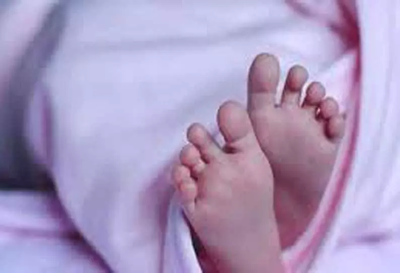 மோட்டார் சைக்கிள்கள் மோதல்; பெண் பலி மோட்டார் சைக்கிள்கள் மோதல்; பெண் பலி