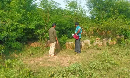 தும்பல் கல்வட்டங்கள் குறித்து தொல்லியல் துறையினர் ஆய்வு