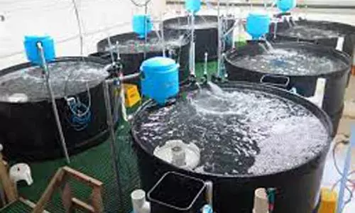 40 சதவீத மானியத்தில் மதிப்புக்கூட்டு எந்திரங்கள் 40 சதவீத மானியத்தில் மதிப்புக்கூட்டு எந்திரங்கள்