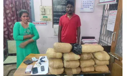சென்னையில் இருந்து கடத்தி வந்த 13½ கிலோ கஞ்சா பறிமுதல் சென்னையில் இருந்து கடத்தி வந்த 13½ கிலோ கஞ்சா பறிமுதல்