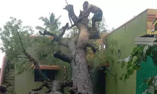 புதுக்கோட்டையில் பலத்த மழை