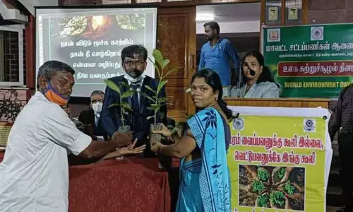 சிறப்பாக தோட்டங்களை பராமரித்த ஊழியர்களுக்கு பாராட்டு சான்றிதழ் சிறப்பாக தோட்டங்களை பராமரித்த ஊழியர்களுக்கு பாராட்டு சான்றிதழ்