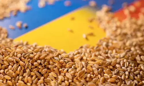 உணவுப் பற்றாக்குறை அடுத்த உலகளாவிய சுகாதார நெருக்கடியாக இருக்கலாம்: எச்சரிக்கை விடுக்கும் நிபுணர் உணவுப் பற்றாக்குறை அடுத்த உலகளாவிய சுகாதார நெருக்கடியாக இருக்கலாம்: எச்சரிக்கை விடுக்கும் நிபுணர்