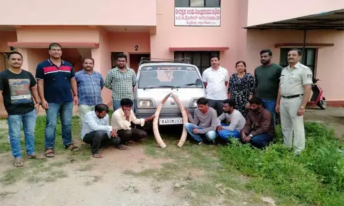 யானை தந்தங்கள் மீட்பு; விற்க முயன்ற 5 பேர் கைது யானை தந்தங்கள் மீட்பு; விற்க முயன்ற 5 பேர் கைது