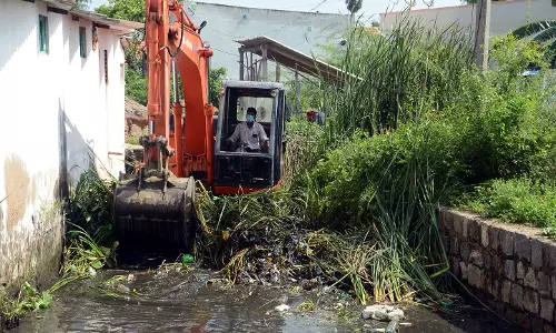 சேனாதிபதிபாளையத்தில் ஓடை தூர்வாரும் பணி தீவிரம்