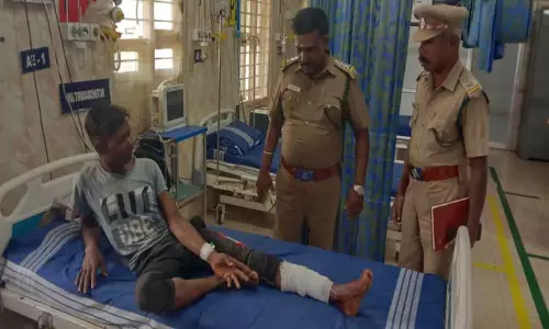 கரடி தாக்கி வடமாநில தொழிலாளி படுகாயம்